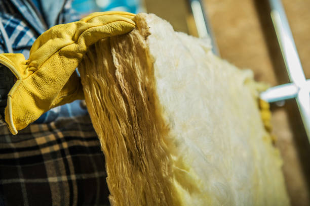 Best Insulation Maintenance and Repair in Dallas, NC