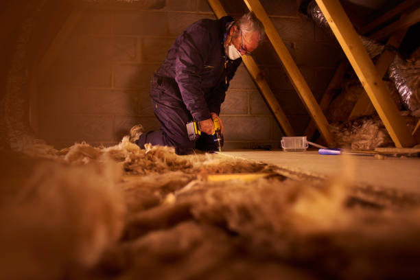 Best Commercial Insulation in Dallas, NC