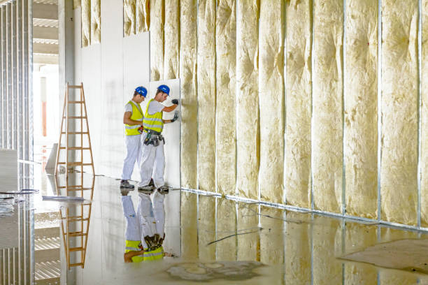 Professional Insulation Contractor in Dallas, NC